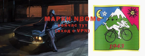 Альфа ПВП Бородино