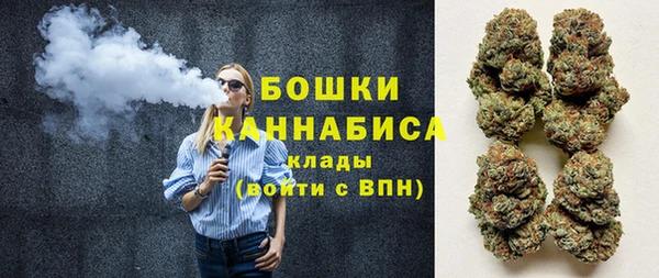 Альфа ПВП Бородино