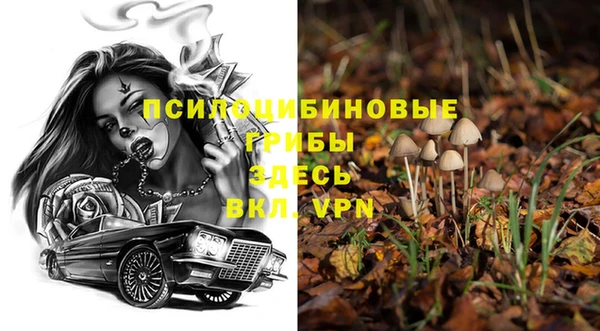 твердый Бронницы