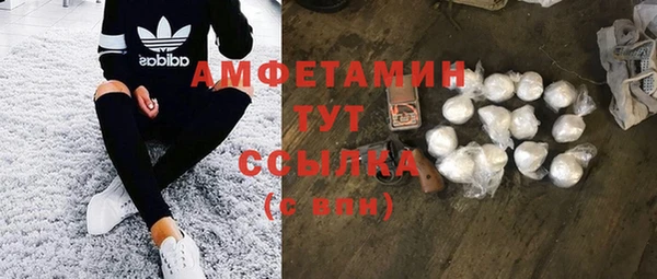Альфа ПВП Бородино