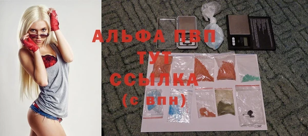 Альфа ПВП Бородино