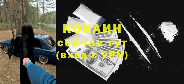 Альфа ПВП Бородино